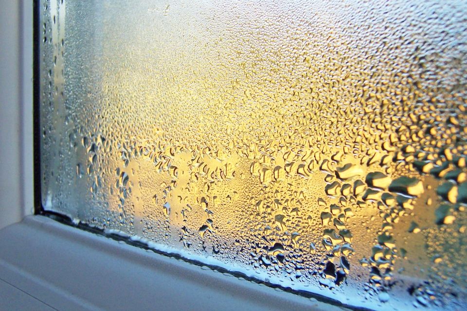 condensation sur les fenêtres